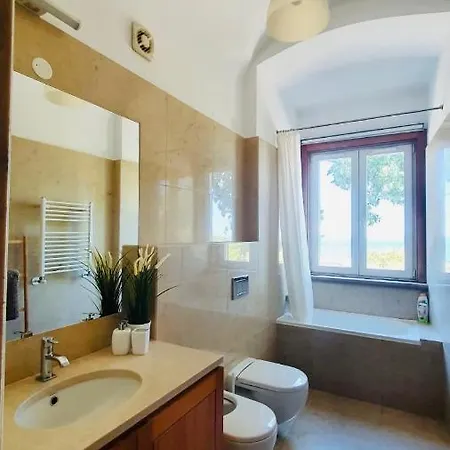 Classic Apartament
